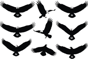 Flying eagle silhouette collection, bald eagle vector, bird of prey clipart, wildlife symbol, freedom icon, majestic raptor illustration © Vector Sifat