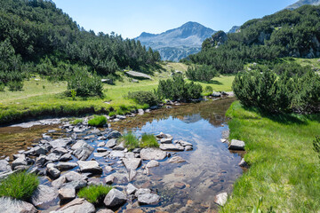 Pirin Mountain near Banderitsa Area, Bulgaria
