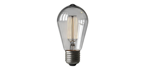 Vintage Edison style light bulb