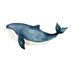 Watercolor Illustration of a Graceful Blue Whale Swimming Elegantly