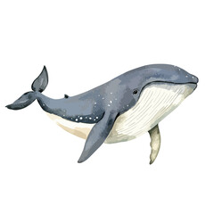 Watercolor Illustration of a Majestic Humpback Whale Swimming Gracefully (1)