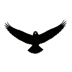 Majestic silhouette of a hawk in flight symbolizing freedom power and nature silhouette