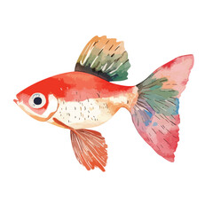 Watercolor Illustration of a Red and Pink Fantail Goldfish with Detailed Fins
