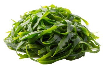 A pile of fresh wakame seaweed isolated on transparent background, showcasing its vibrant green color and natural texture, ideal for culinary or healthrelated visuals