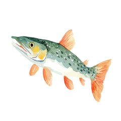 Watercolor Illustration of a Spotted Fish with Orange Fins