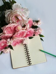 Bouquet of pink peonies and a notebook on a white background
