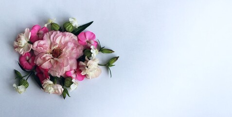 Bouquet of pink and white peonies on a white background