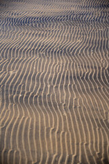 Abstract Sand Ripples: Nature's Wavy Pattern and Texture