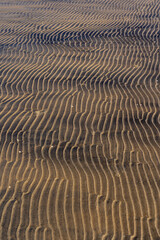 Abstract Sand Ripples: Nature's Wavy Pattern and Texture