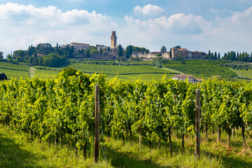 Scenic vineyards and medieval castle of Susegana rising on the hill in Veneto, Italy
