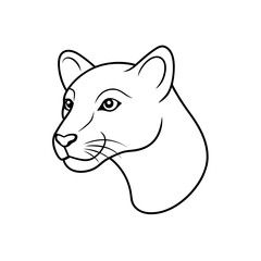 Outlined cougar head drawing on transparent background