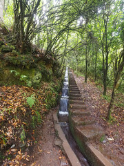 Balcoes Levada Hiking Trail