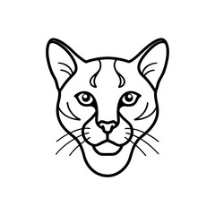 Outlined cougar face drawing on transparent background