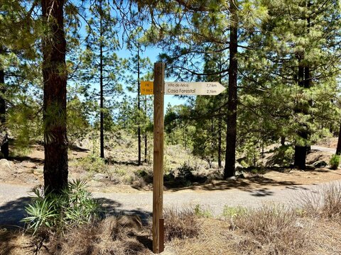 Hiking trail sign pointer in the forestal area of Arico, Tenerife, Canary Islands, Spain