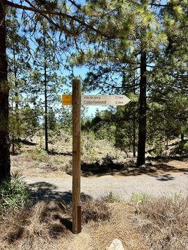 Hiking trail pointer in the forestal area of Arico, Tenerife, Canary Islands, Spain 