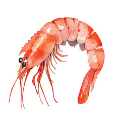 Watercolor Style Cooked Shrimp with Curled Body and Delicate Antennae