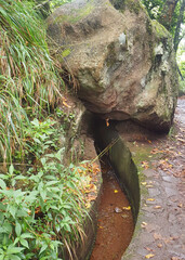 Balcoes Levada Hiking Trail