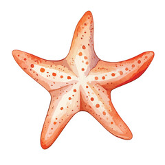 Watercolor Style Starfish with Red Spots and Gradient Orange Coloration