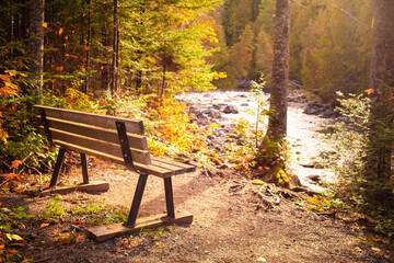 Relaxing bench beside a river surrounded by colorful autumn foliage in a tranquil forest setting