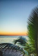 Vibrant sunset over tranquil water framed by lush palm leaves at a serene beach location