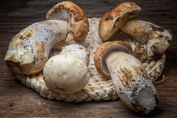Cep or penny bun (Boletus edulis), Boletaceae. Group of mushrooms on wooden table.