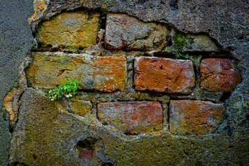 old brick wall