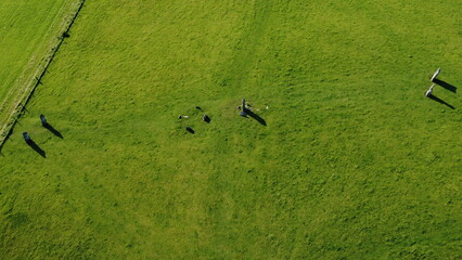 Nether Largie Neolithic Standing Stones, Kilmartin Glen, Argyll and Bute, Scotland, UK