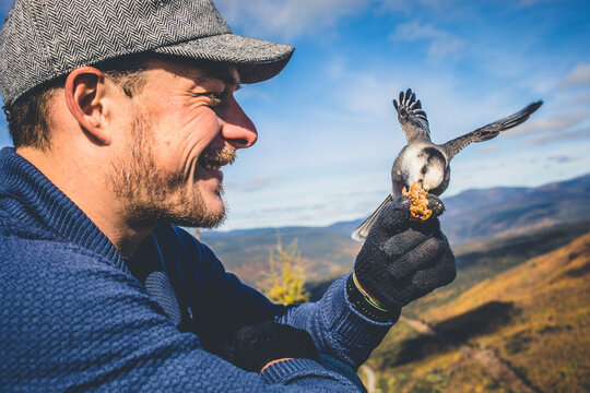 Man interacts with small bird while enjoying a mountain view in fall season