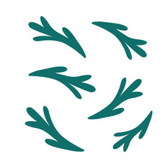 Fir twigs set. Vector illustration for holiday cards, winter designs and seasonal branding. Winter holiday evergreen decoration, spruce or pine tree elements.