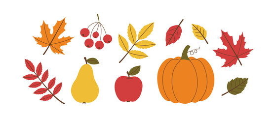 Autumnal seasonal elements of plants, vegetable and fruit with colorful leaves. Fall flat graphic design for seasonal greeting harvest festival. Vector illustration