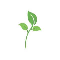 Green tree leaf ecology logo design with natural elements