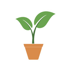 Simple green plant growing in a terracotta pot a modern icon for nature and home decor