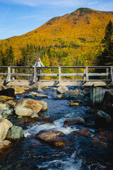 Woman enjoying the autumn scenery on a bridge over a clear stream in a mountainous forest during daylight