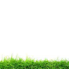Fresh green grass lawn isolated on a transparent background, Green grass field background, PNG...