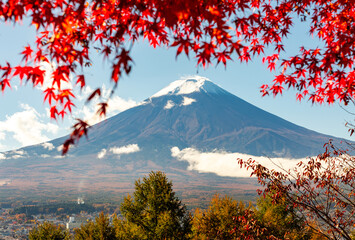 Mount Fuji and red maple trees in autumn, Arakurayama, Japan