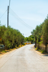 Quiet village road in Zakynthos Island Greece surrounded by olive trees stone walls and power lines peaceful rural scenery under clear summer sky