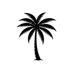 Obraz premium Silhouette of palm tree on transparent background