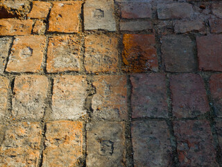 Old weathered brick pavement with sunlight and textured surface