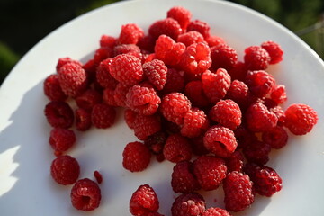 Fresh organic raspberries rich in vitamins, fiber, and antioxidants. A perfect superfood for dietetics, nutrition, and healthy lifestyle, supporting wellness and immunity.