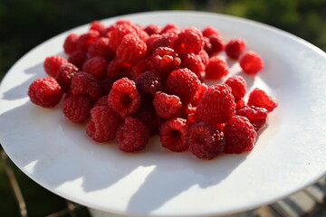 An overhead shot of a pile of bright, freshly picked red raspberries on a white plate. The image highlights their detailed texture and natural, plump appearance.