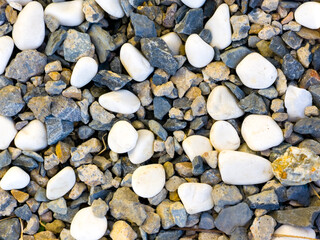 Close up of white and gray pebbles on the ground