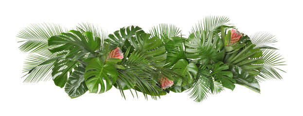 Tropical trees leaves and flowers arranged in beautiful composition against white background