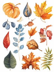 Autumn clipart with yellowed leaves, mushrooms and gifts of autumn.