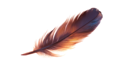 A light feather with intricate details on transparent png background. Ai generated