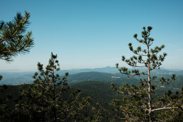 Scenic view of Divcibare mountains with pine trees and clear summer sky. Nature travel destination in Serbia