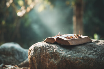 Open Book Resting on a Rock in a Serene Forest Setting