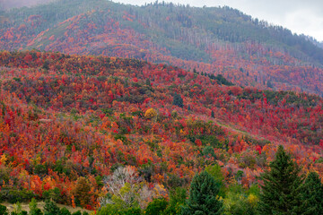 Wasatch Mountains in Autumn near Midway