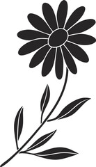 Flowers Vector Illustration, Colorful Floral Design, Decorative Blossom Pattern, Nature Botanical Art