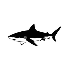 Silhouette of a majestic shark cruising through open ocean waters silhouette