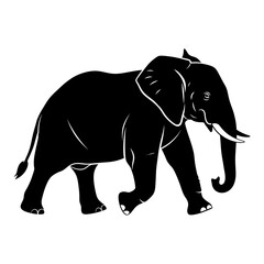 Majestic silhouette of an elephant walking forward in a square frame isolated silhouette